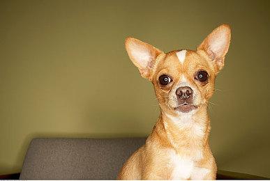 《极限竞速：地平线5》XSX版全新14分钟演示